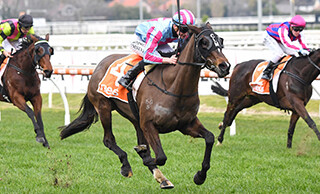 Up-and-coming stayer High Emocean (NZ) claims the Listed R.M. Ansett Classic (2415m) at Mornington. 